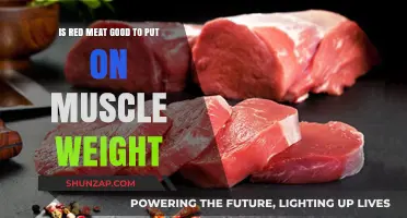 Red Meat for Muscle Gain: A Comprehensive Guide