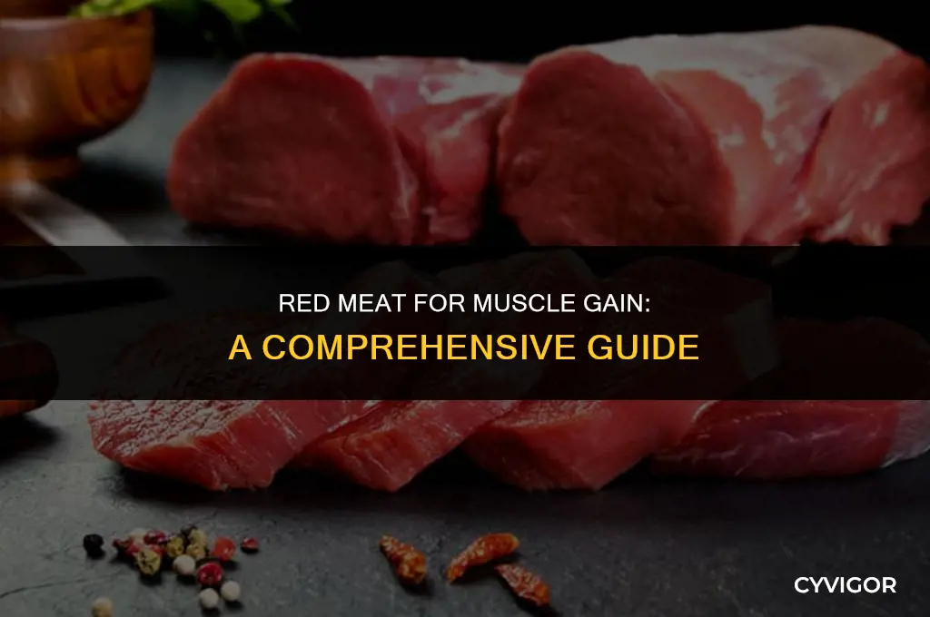 is red meat good to put on muscle weight