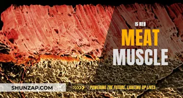 Red Meat: Building Muscle Blocks or Just Blocks?