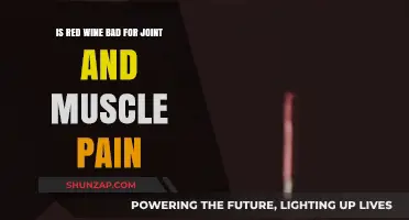 Red Wine and Joint Pain: Friend or Foe for Muscle Aches?