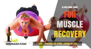 Sipping to Strength: Red Wine's Role in Muscle Recovery