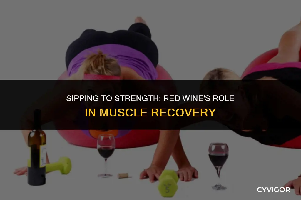 is red wine good for muscle recovery