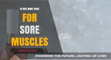 Red Wine for Sore Muscles: Myth or Recovery Aid?
