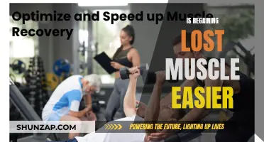 Regaining Lost Muscle: Is It Easier the Second Time?