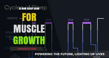 Unlocking Muscle Growth: The Power of REM Sleep Revealed
