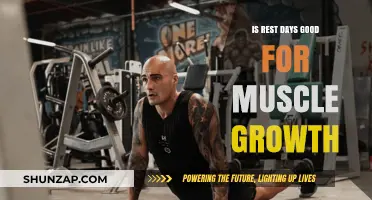 Unveiling the Truth: Rest Days and Their Impact on Muscle Growth