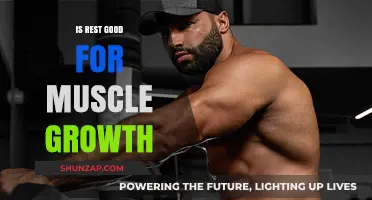 Unleashing Muscle Growth: The Power of Rest and Recovery