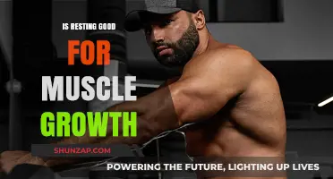 Unleashing Muscle Growth: The Power of Rest and Recovery