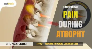 Muscle Pain and Atrophy: Understanding the Connection and Symptoms