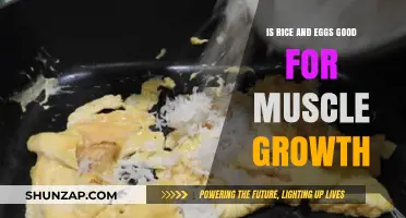Fuel Your Gains: The Surprising Benefits of Rice and Eggs for Muscle Growth