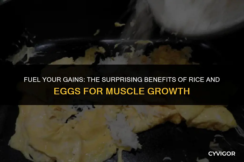 is rice and eggs good for muscle growth