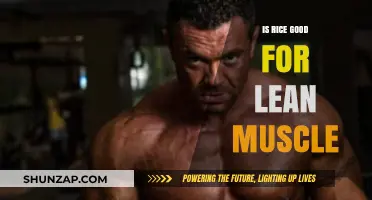 Fuel Your Fitness: The Surprising Benefits of Rice for Lean Muscle Growth