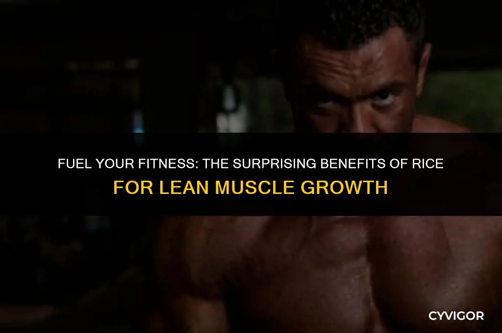 is rice good for lean muscle