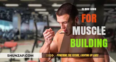 Fuel Your Gains: The Surprising Role of Rice in Muscle Building