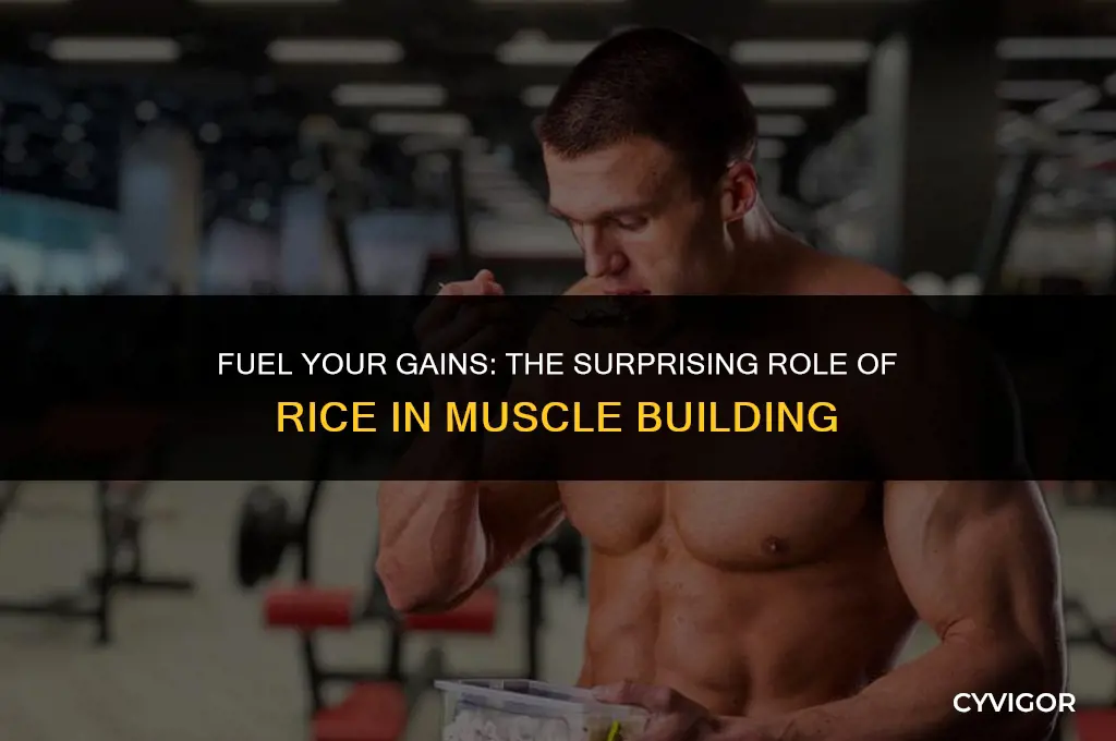 is rice good for muscle building