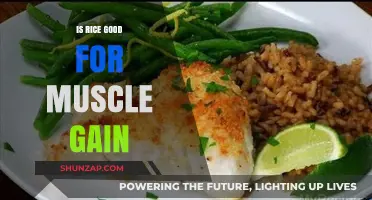 Rice and Muscle Gain: A Nutritional Powerhouse for Fitness Enthusiasts