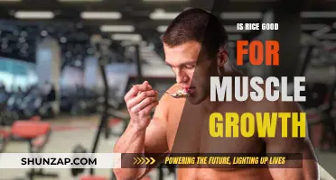 Rice and Muscle Growth: Unlocking the Nutritional Benefits for Fitness