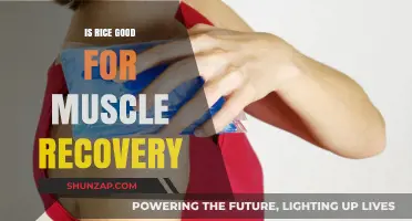 Fuel Your Fitness: The Surprising Benefits of Rice for Muscle Recovery