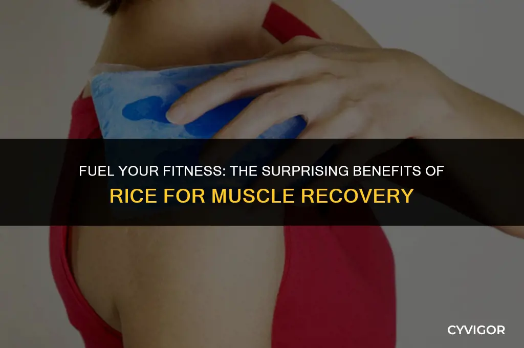 is rice good for muscle recovery