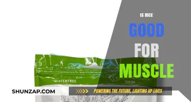 Fuel Your Fitness: The Surprising Benefits of Rice for Muscle Growth