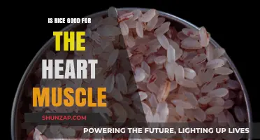 Nourishing the Heart: The Surprising Benefits of Rice for Cardiac Health