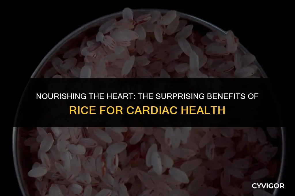 is rice good for the heart muscle