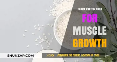 Unlocking Muscle Growth: The Surprising Benefits of Rice Protein