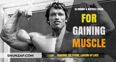 Cycling for Muscle Gain: Effective or Overrated?