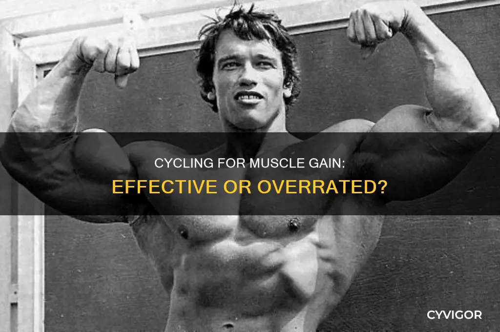 is riding a bicycle good for gaining muscle