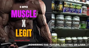 Ripped Muscle X: Legit Results or Scam?