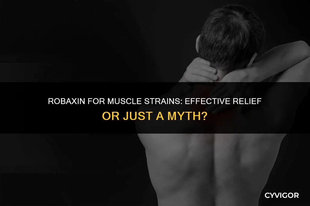 is robaxin good for muscle strains