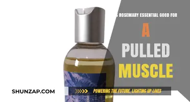 Rosemary Essential Oil: Effective Natural Remedy for Pulled Muscle Relief?