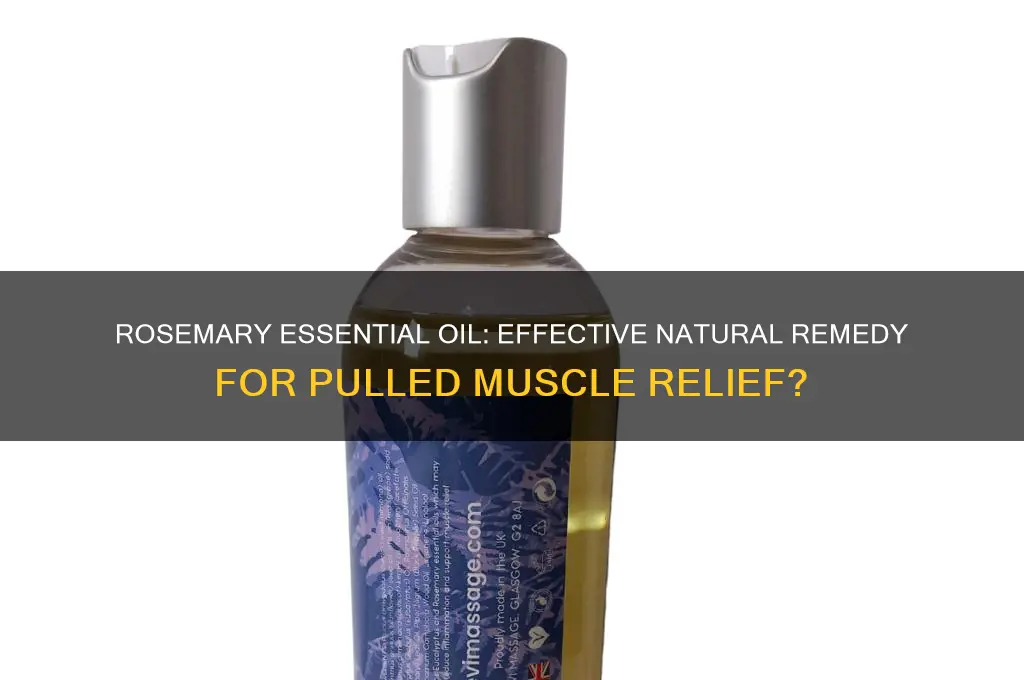 is rosemary essential good for a pulled muscle