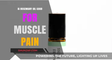 Rosemary Oil Benefits: Easing Muscle Pain Naturally and Effectively