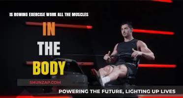 Rowing Exercise: A Full-Body Workout or Targeted Muscle Training?