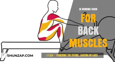 Strengthen Your Back: The Benefits of Rowing for Muscle Health