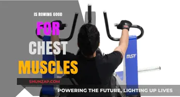 Unleash Your Chest Muscles: The Rowing Revolution