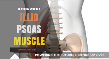 Rowing for Relief: Easing Iliopsoas Muscle Tension