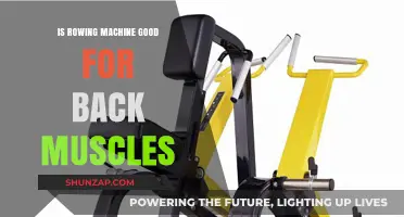 Strengthening Your Back: The Benefits of Rowing Machines