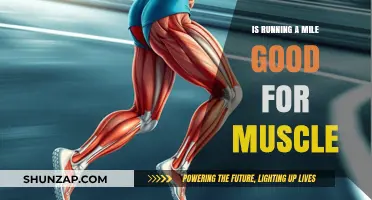 Boost Your Muscle Health: The Surprising Benefits of Running a Mile