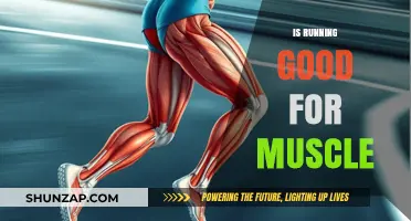 Boost Your Muscle Health: The Surprising Benefits of Running