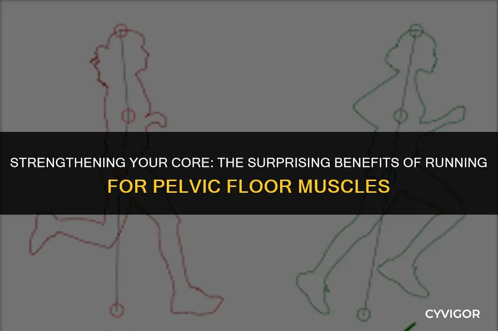 is running good for pelvic floor muscles