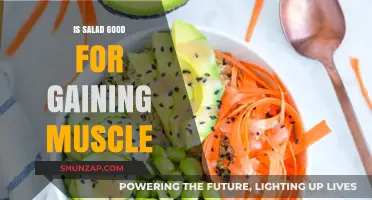Can Salad Help Build Muscle? Nutrition Facts and Tips