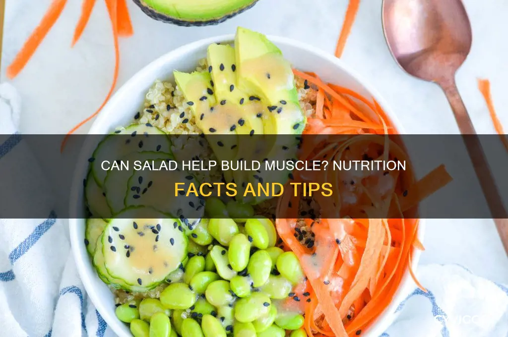 is salad good for gaining muscle