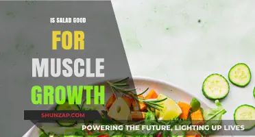 Fuel Your Gains: The Surprising Role of Salad in Muscle Growth