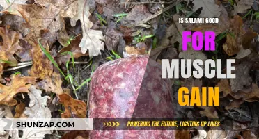 Salami for Muscle Gain: A Tasty Protein Boost or Bust?