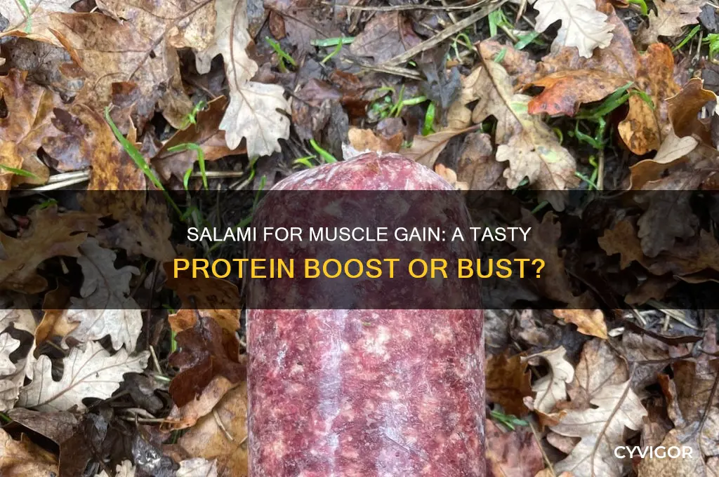is salami good for muscle gain