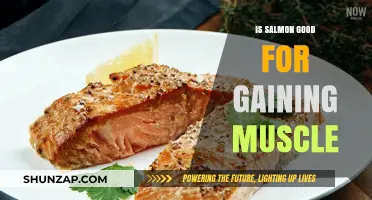 Salmon's Muscle-Building Benefits: A Nutritional Powerhouse for Strength Gains