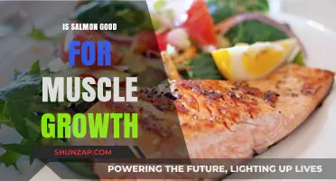 Salmon's Role in Muscle Growth: Benefits and Nutritional Insights