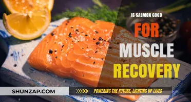 Salmon: A Delicious Ally in Your Muscle Recovery Journey